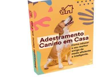 E-book Adestramento de Cães