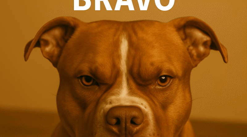 Cachorro Bravo