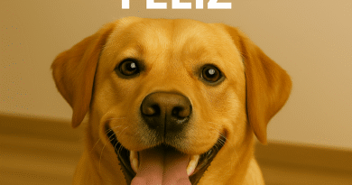 Cachorro Feliz