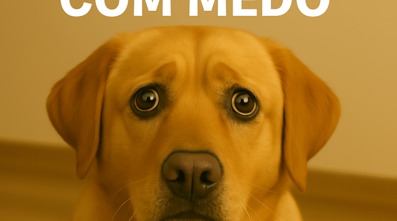 Cachorro Medroso