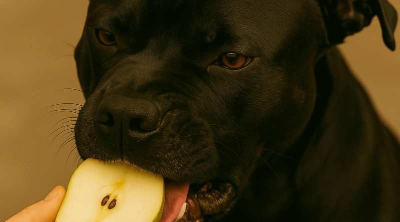 Cachorro Pode Comer Pera