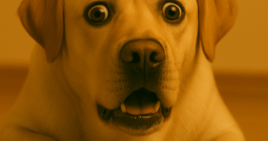 Cachorro com Soluço