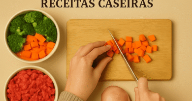 comida caseira para cachorro