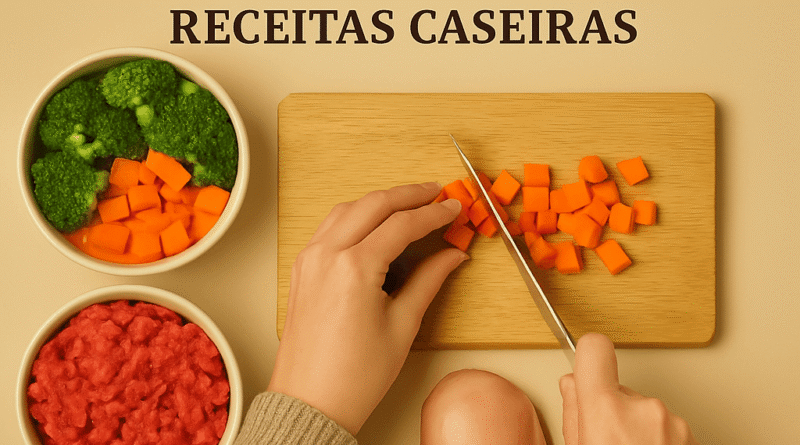 comida caseira para cachorro