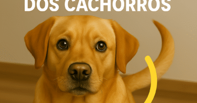 Entendendo a Linguagem Corporal dos Cachorros