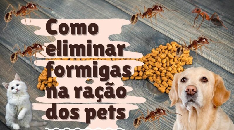 Formigas na Ração