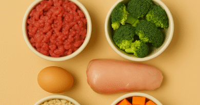 comida natural para cães