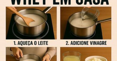 Como Fazer Whey Caseiro receitas
